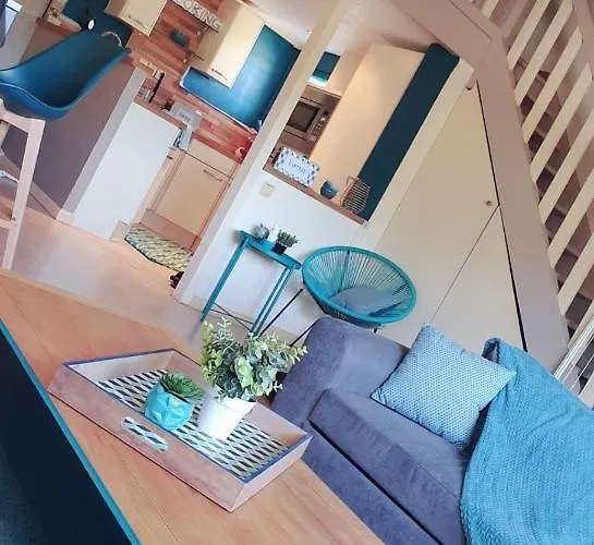 T3 50m2 Duplex Centre 아파트 *